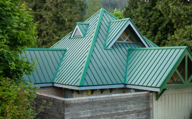 Best Skylight Installation and Repair  in Minersville, PA
