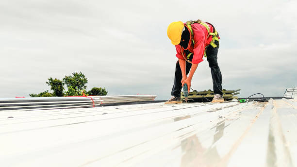 Best Sheet Metal Roofing  in Minersville, PA